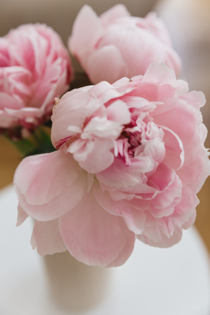 Vienna real estate photographer